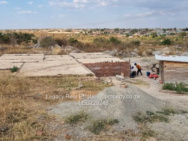 Zimre Park Stand for Sale