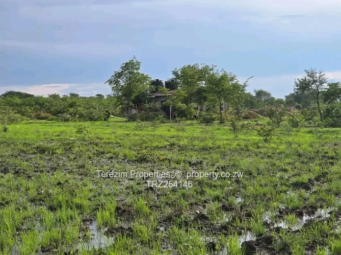 Kadoma: Prime School Stand For Sale