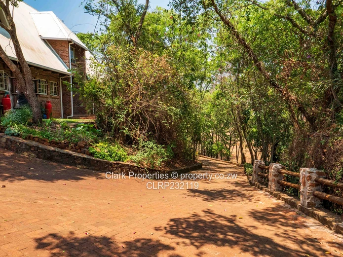 Character-Filled Family Home (Sole Mandate)