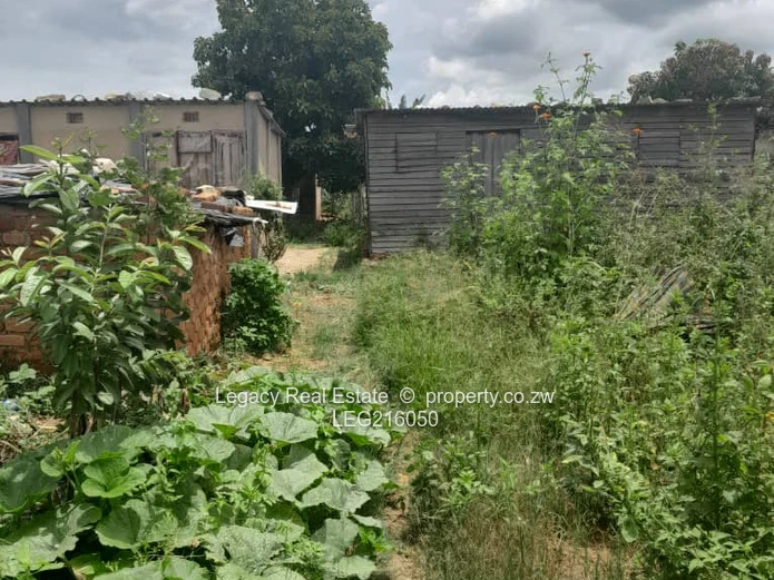 Nyabira Stand for Sale