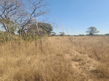 Farm & Agricultural Land