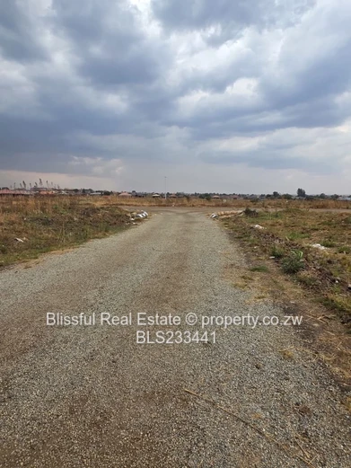 glaudina incomplete house for house