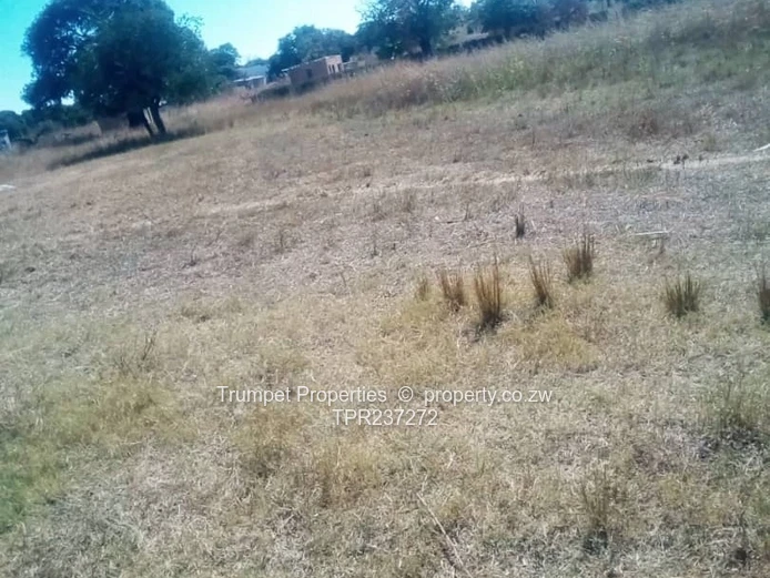 20ha Nyabira Farm: Open Grazing Land with Tracks