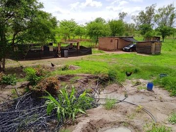 Farm & Agricultural Land