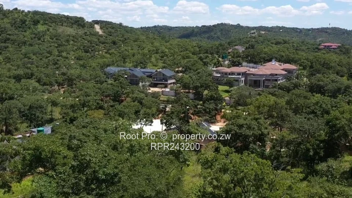 Borrowdale Carrick Creagh Stands For Sale