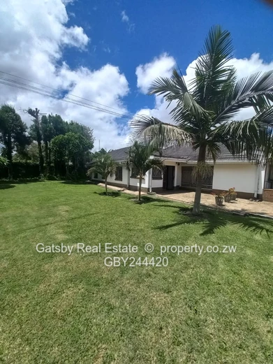 Available immediately 