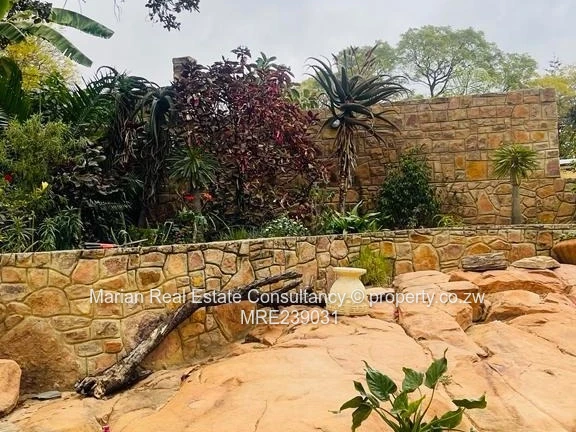 Burnside, Stand FOR SALE