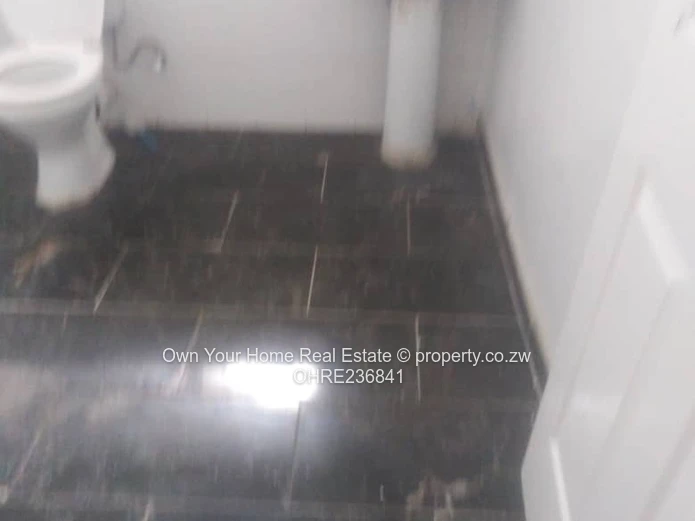 Hatfield Flatlet For Rent