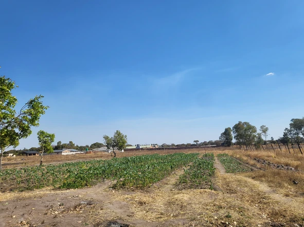 Farm & Agricultural Land
