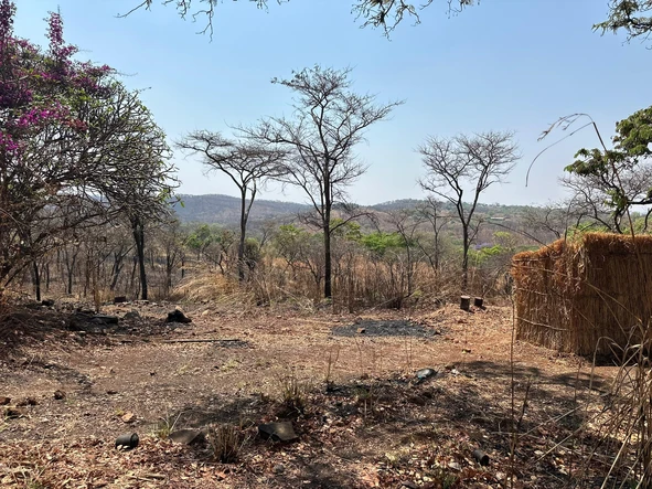 Farm & Agricultural Land