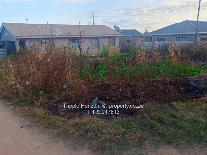 200m² Stand - Main Road Frontage, Sewer & Water, Damofalls