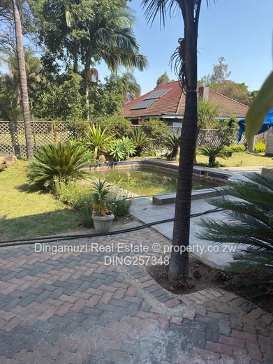 Spacious 5-Bed Townhouse Complex in Highlands - Borehole