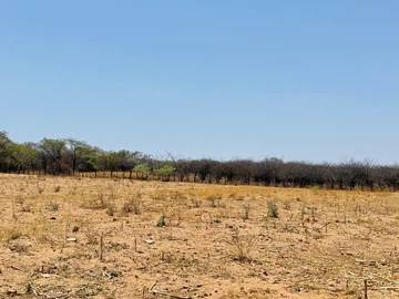 Farm & Agricultural Land