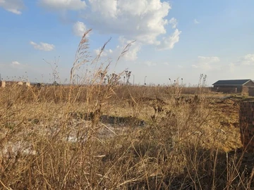 Stands & Residential Land