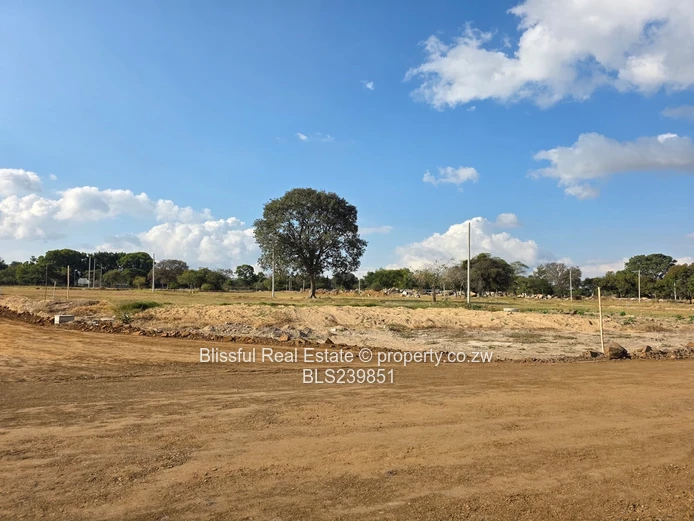 Hatfield Stands For Sale