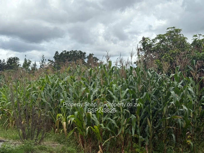 Great Opportunity for Re-Development