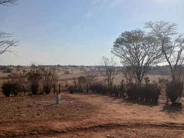 Farm & Agricultural Land