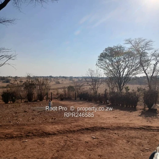 Nyabira 50-Hectare Plot For Sale 