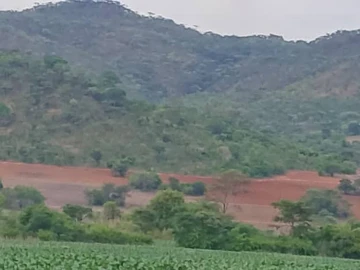 Farm & Agricultural Land