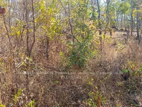 Chegutu Plots