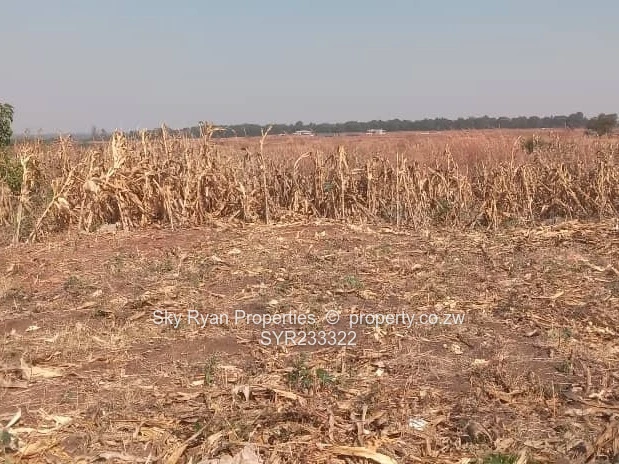 Pomona Stand For Sale