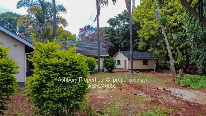 Renovators Dream Opportunity!!
