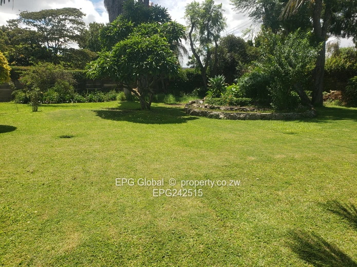 Solid Family house available for letting  