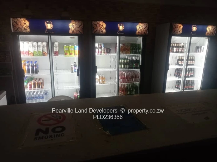 Investors Thrill Mhangura commercial property