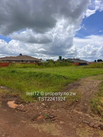 Haydon park stand for sale  (Sole Mandate)