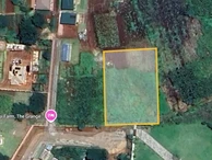 Build Your Dream Home