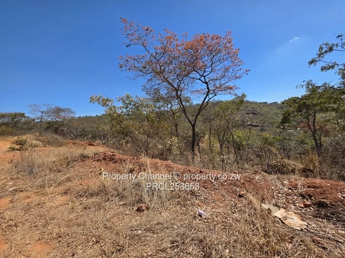 Stand For Sale In Gletwin (Police Area) 