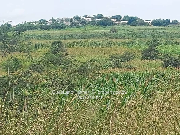 Extensive Commercial Land In For Sale In Chirundu!