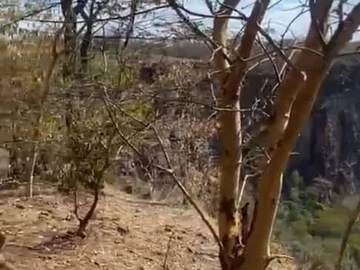 Commercial & Industrial Land