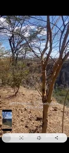 A gem of beautiful piece of land on the mighty Zambezi in Victoria Falls