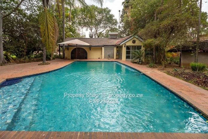 The Ultimate All-in-One Experience