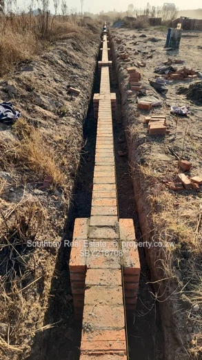 Investment Opportunity