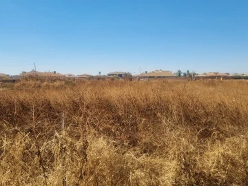 Stands & Residential Land
