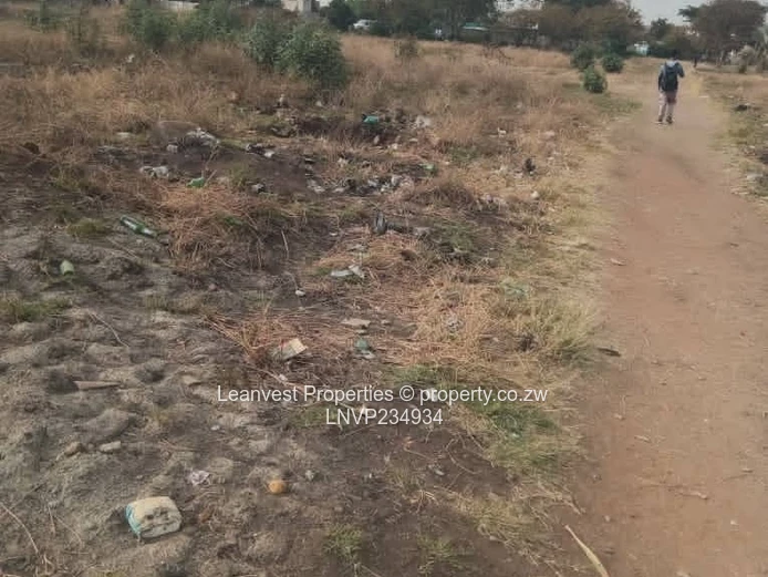 Arcadia stand for sale