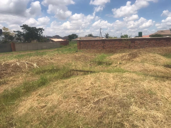 Stands & Residential Land