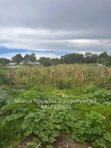 Elite Address, Infinite Potential: Prime Acre Stand in Borrowdale