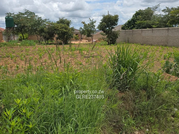 Rockview stand for sale! 