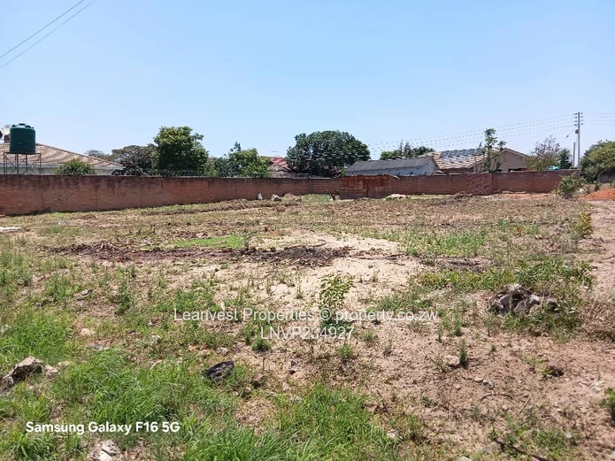 Zimre Park Stand For Sale