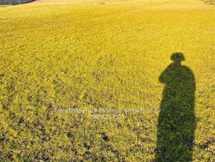 4000sqm Vacant Land in Buena Vista For Sale
