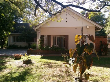 IMMACULATE HOUSE available for 1 June 2025