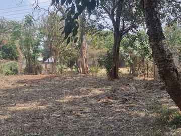 Commercial & Industrial Land