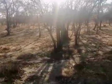 Farm & Agricultural Land