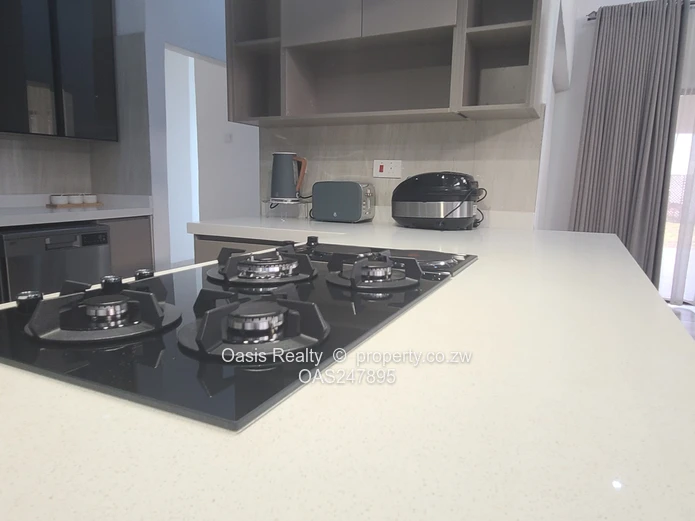 Brand new fully furnished home
