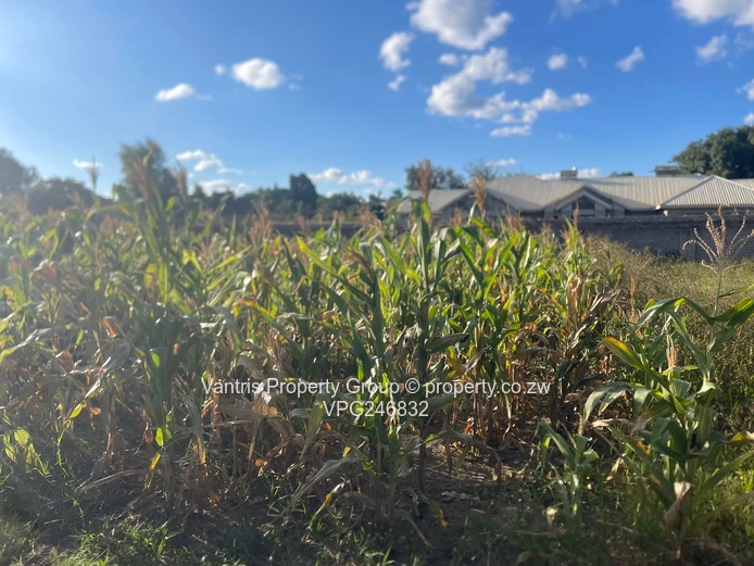Bluff Hill Stand For Sale