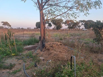 Farm & Agricultural Land