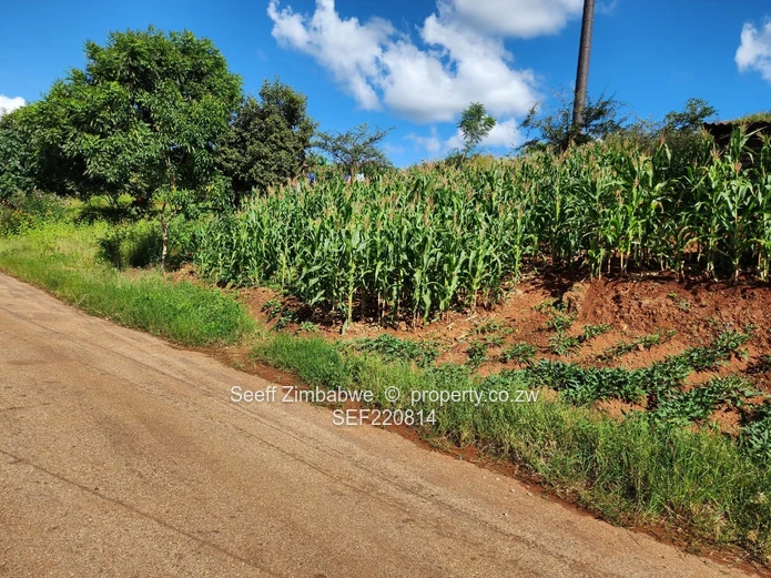 Panoramic Views Await: Prime Residential Stand in Prestigious Pomona!